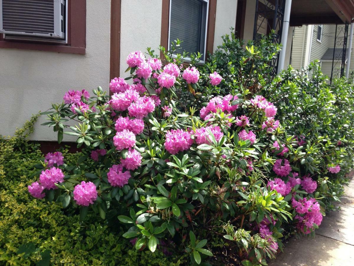 Bowers House Bnb Harvard Mit Cambridge Boston Somerville Exterior foto